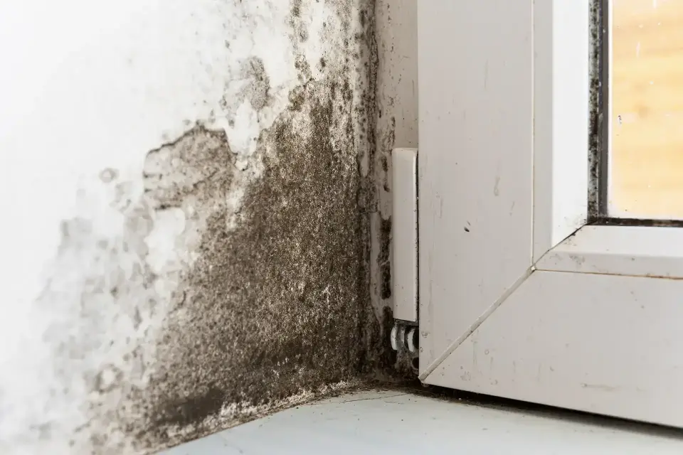 Water Damage in South Salt Lake, UT